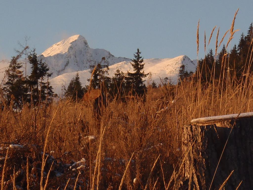 Chaty Tatra Tatranska Strba Esterno foto